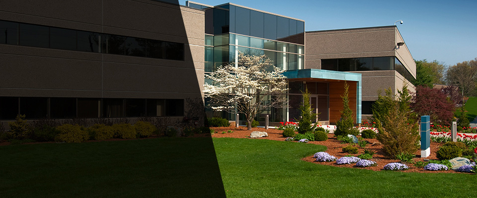 New Orleans Landscapers