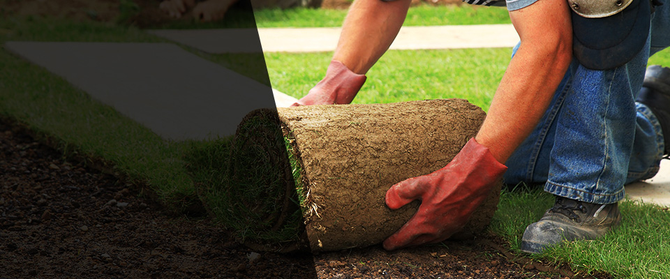 New Orleans Landscapers